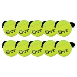 Tennis Balls with Elastic Rope 013