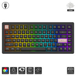 ACR Pro 75 (Akko / Keyboard)