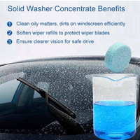SGS Auto Glass Cleaner