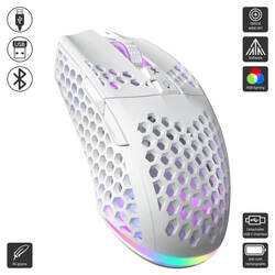 SM600 (Aula / Mouse)