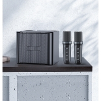 YS-111 Karaoke with 2 Microphones