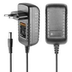 ឆ្នាំងសាកម៉ូទ័រស្វាន 12V ថ្មសំប៉ែត