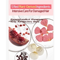 RYO Damage Care & Nourishing Treatment