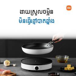 Mi Induction Cooker 2