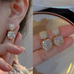 Woman's Fashion Earrings