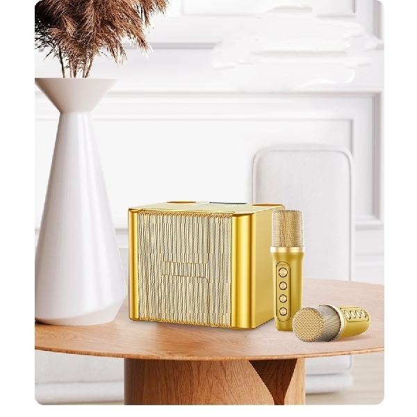 YS-111 Karaoke with 2 Microphones