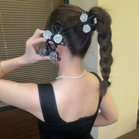 H8 Hair clippers white /  ដង្កៀបត្បូងស