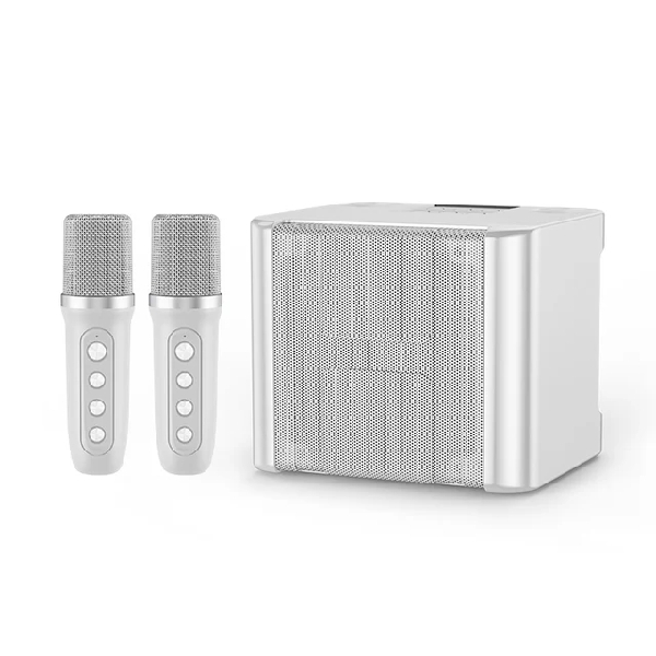 YS-111 Karaoke with 2 Microphones