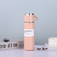 Stainless Steel Vacuum Bottle 500ml 