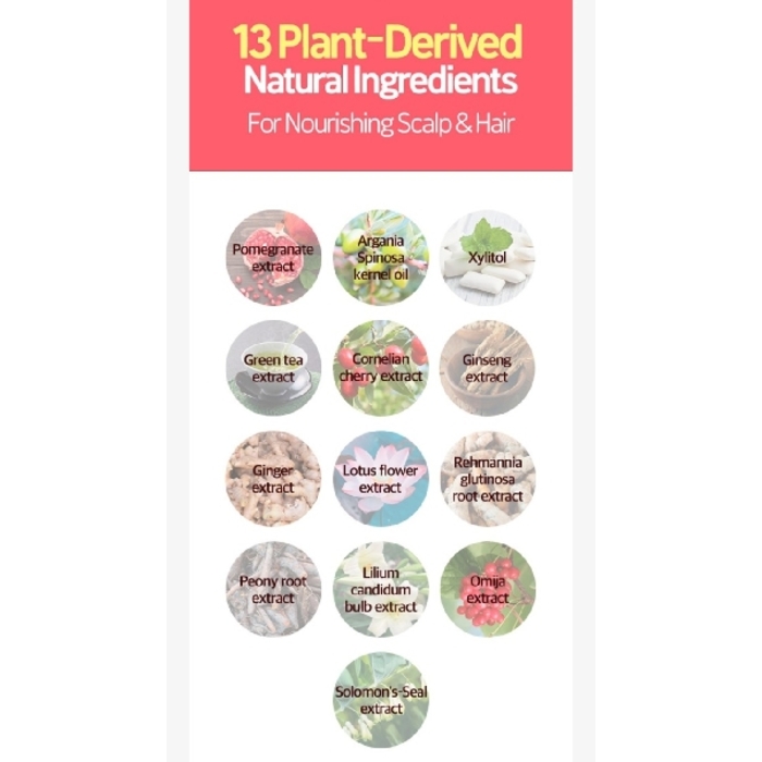 RYO Damage Care & Nourishing Treatment