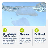 Torriden Low Molecular Hyaluroic Acid Multi Pad 