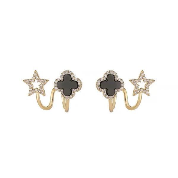 Earrings UP017