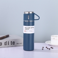 Stainless Steel Vacuum Bottle 500ml 