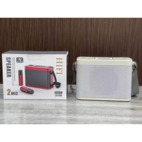 YS-209 Wireless Karaoke with Two Microphones