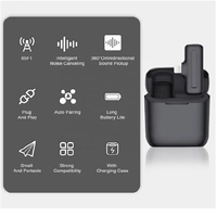 ម៉ៃក្រូហ្វូនគូមានប្រអប់សាក Microphone with Case