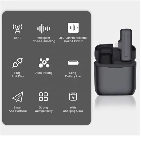 ម៉ៃក្រូហ្វូនគូមានប្រអប់សាក Microphone with Case