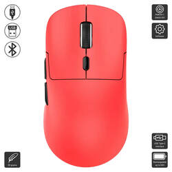 A6 (Ziyoulang / Mouse)