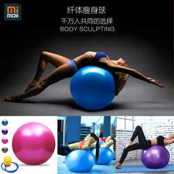Exercise Ball 068