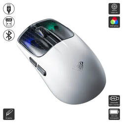 SC560 (Aula / Mouse)