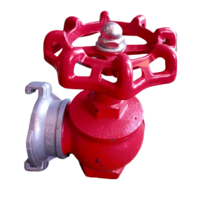 ក្នាលទុយោ