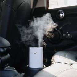 Portable Mist Humidifier Diffuser Night Light LED