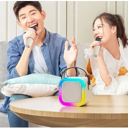 Speaker Karaoke K12 2 Mic បាសច្រៀងខារ៉ាអូខេ K12 បាន មានម៉ៃក្រូហ្វូន2ដើម