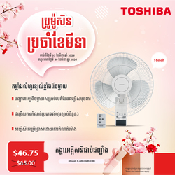 Wall Fan - F-AWD60KH(W)