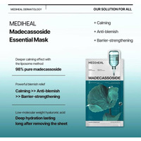 MEDIHEAL Madecassoside Essential Mask Blemish Repair 