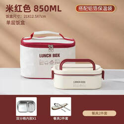 Stainless Steel Lunch Box for Students, Women, Insulated, 