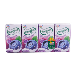 YOUNGFUN BLUEBERRY UHT MILK-125ML