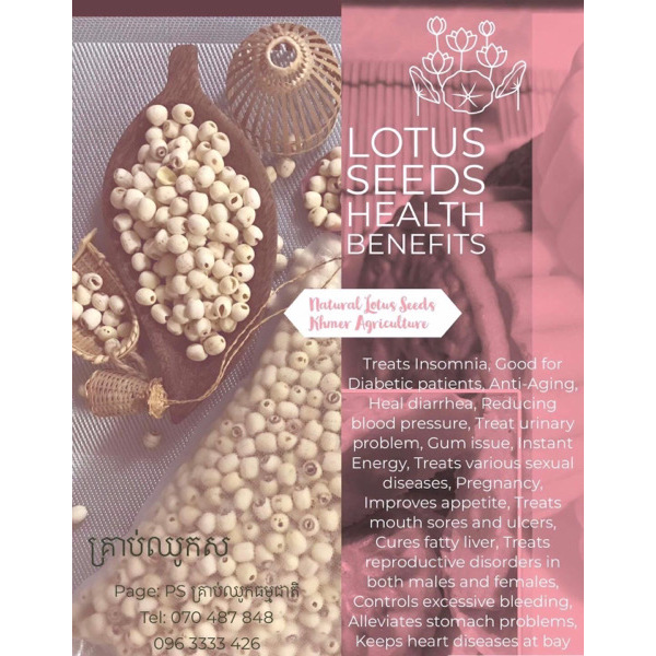 White Lotus Seeds 1kg