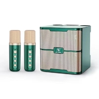 YS-213 Karaoke With 2 Microphones