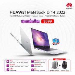 Matebook D14 2022 Reborn i3 - Silver