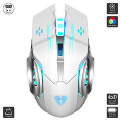 SC100 (Aula / Mouse)