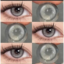 Ovolook 6 Months Contact Lens Degree 0.00 14.5mm (Gray Prisian)