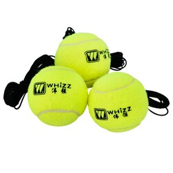 Tennis Balls with Elastic Rope 011