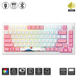 Akko MOD007B HE PC - Tokyo Keyboard