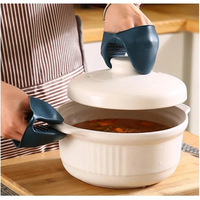 Stainless Steel Hot Plate Gripper