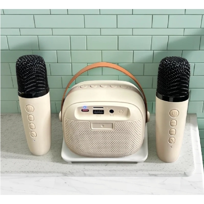 Speaker Karaoke K30 2 Mic បាសច្រៀងខារ៉ាអូខេ K30 បាន មានម៉ៃក្រូហ្វូន2ដើម