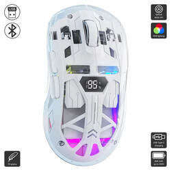 Ziyoulang A2 (Ziyoulang / Mouse)