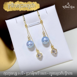 ក្រវិលគុជអាគូយ៉ា ទឹកប្រៃ  