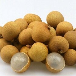 តាង៉ែនបៃលិន ១០គីឡូ - Pailin Longan 10KG