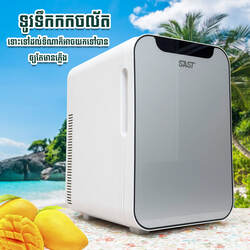Bear SAST Mini Fridge AQ-22L 