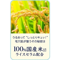 Keana Rice Mask - 28 Sheets Per Box