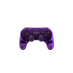 8BitDo Pro 2 Controller (Purple Transparent)