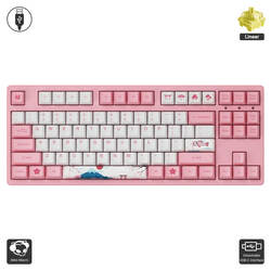 3087DS - World Tour Tokyo (Akko / Keyboard)