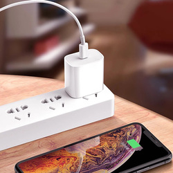 iPhone Charger 20W