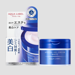 Shiseido Aqua Label Special Gel Cream