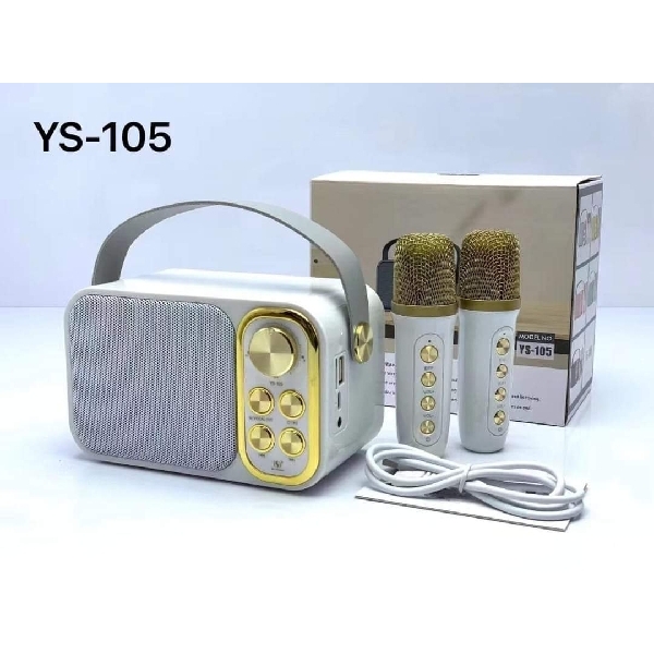 YS-105 Cute Karaoke with Two Microphones 