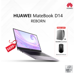 Matebook D14 Reborn i5 - Silver